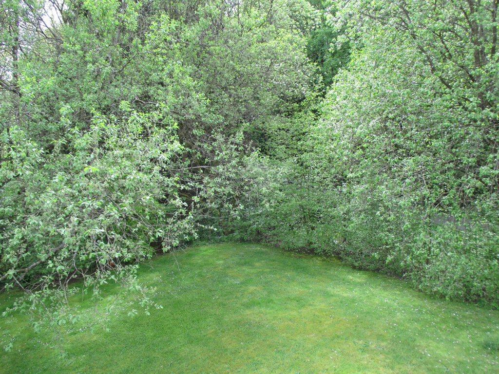 Ferienwohnung An Der Lay Bach  Екстериор снимка